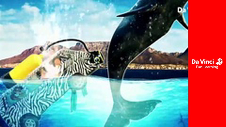 Siyaya - Come Wild With Us - To the River’s End