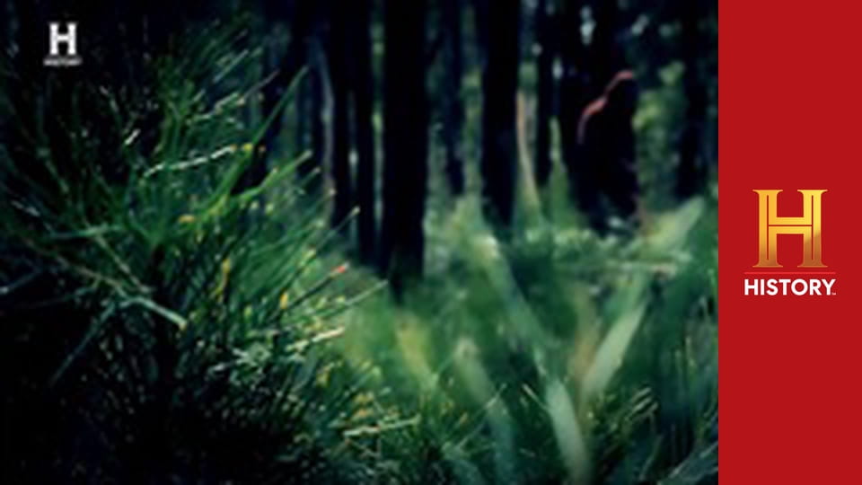 Доказательство где-то рядом, 4 сезон, 1 эп. Дело о бигфуте.