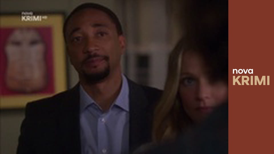 Myšlenky zločince S12E14