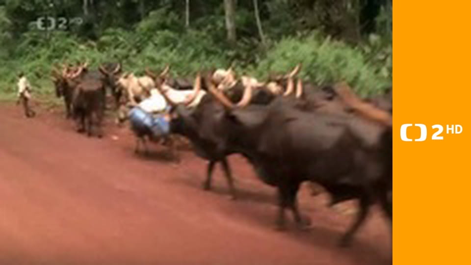 Přidej se - Medvěd na Smrku