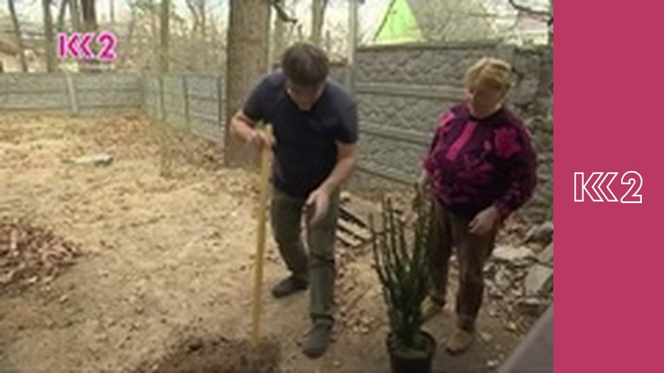 Удачний проект S5E2