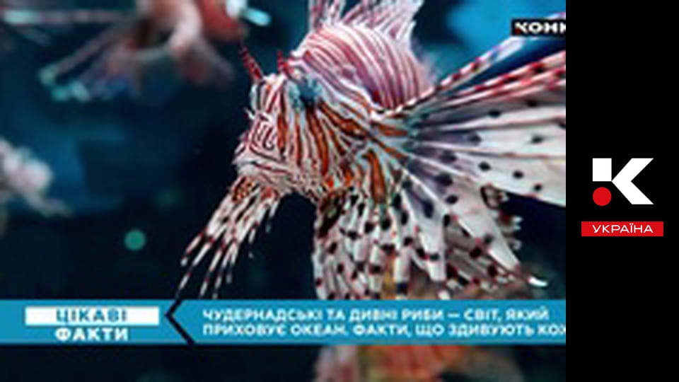 Цікаві факти.