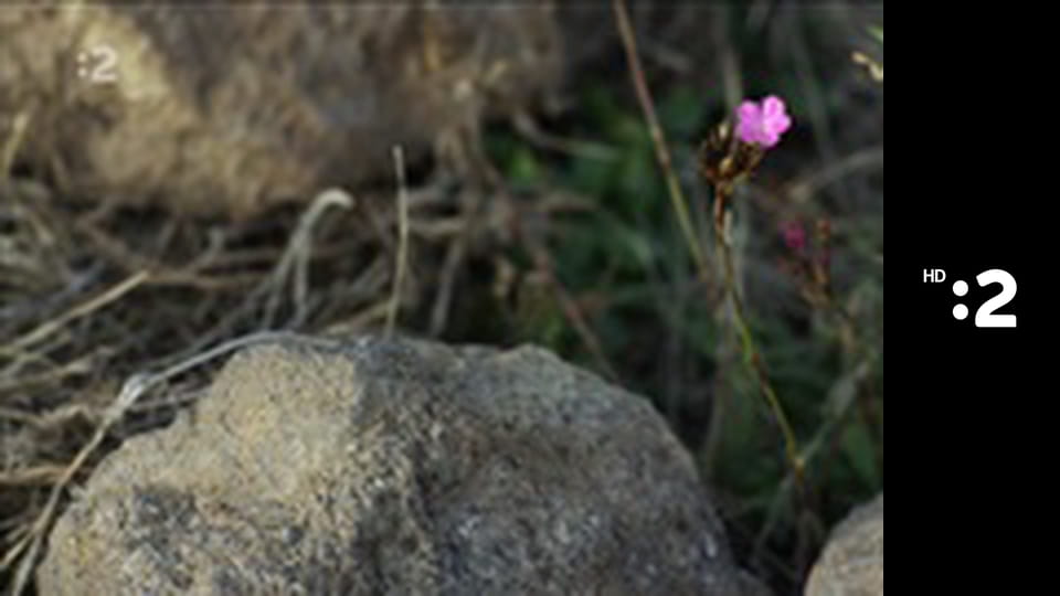 Vínne cesty Slovenska E2 - Vihorlat a Sobranecko