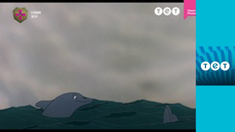 Мультфільми