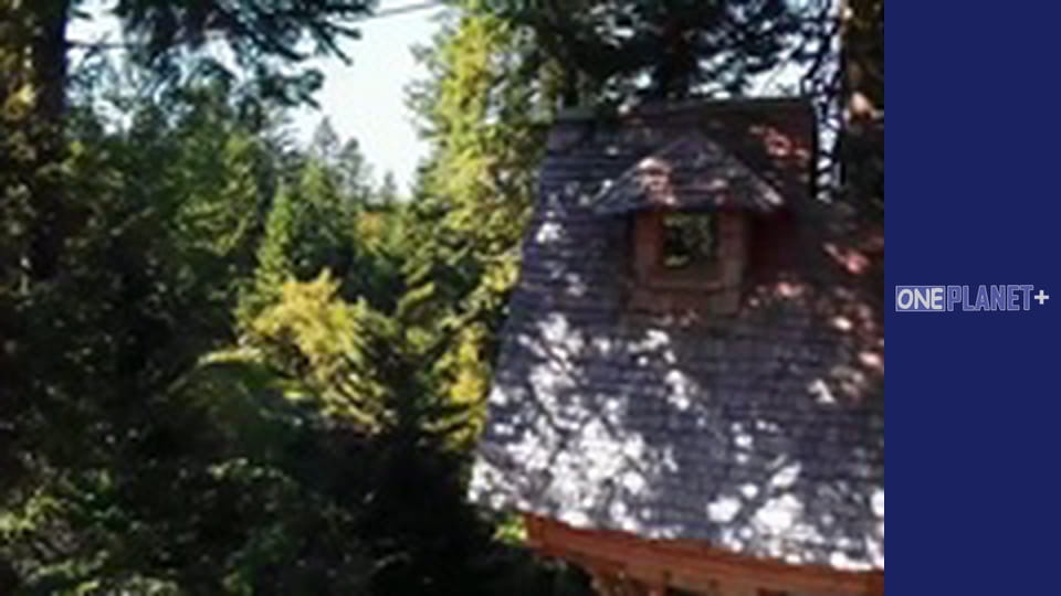 Мистецтво Простору. - серия 30