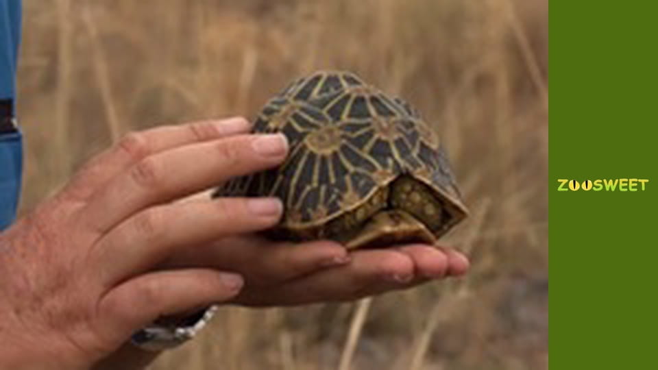 Моі улюбленці - серія 10
