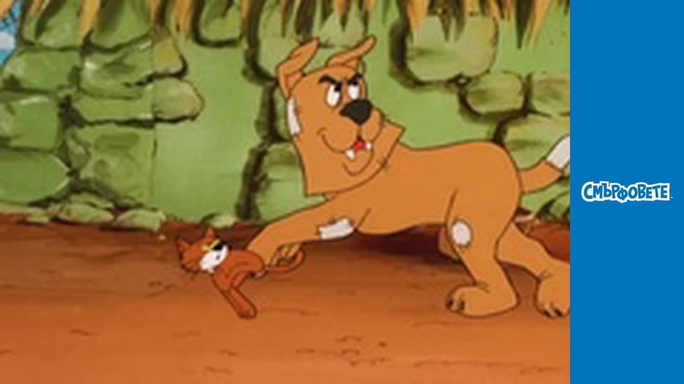 Смърфчета и сърчица / Късметчетата