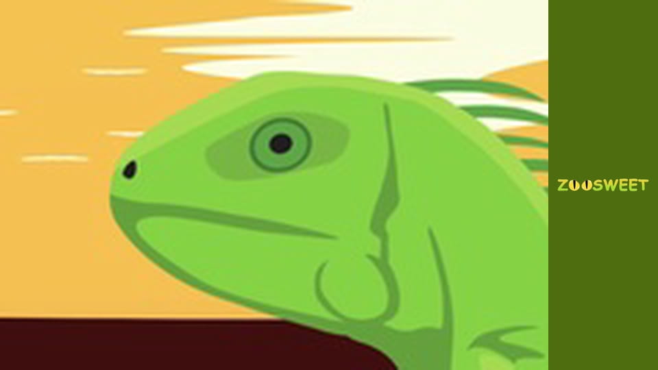 Дикі забави Сан-Дієго - серія 18