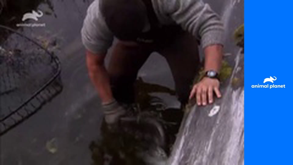 Alaszka: Életben maradni az utolsó határon S1E5 - Alaszka visszavág