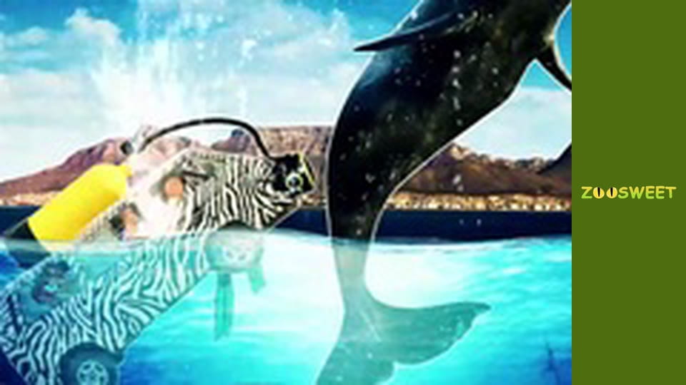 Siaya, Season 1, Episode 5