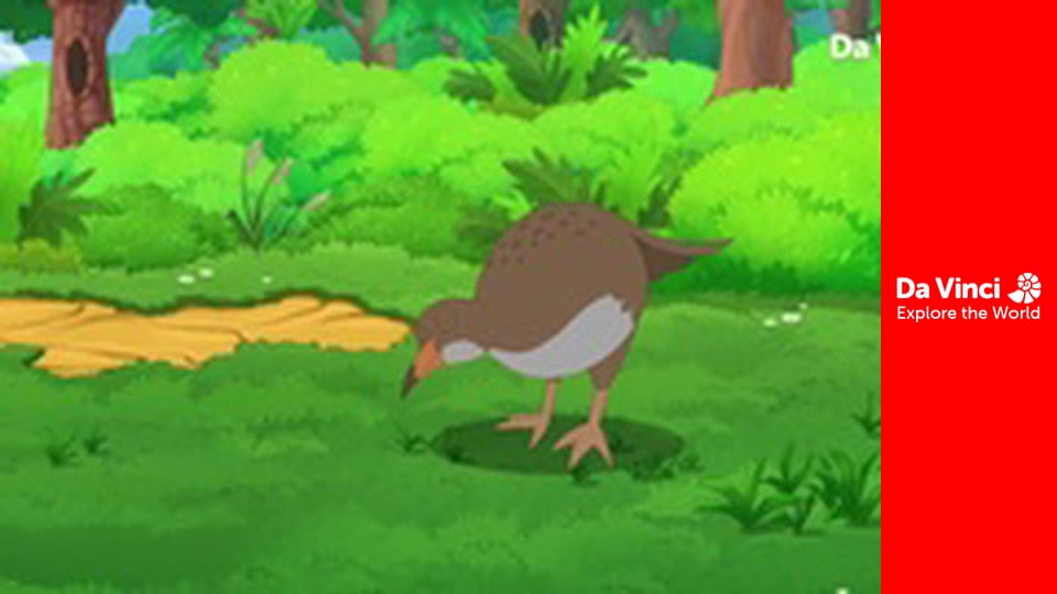 Darwin i Niutka - Ratuj Takahe