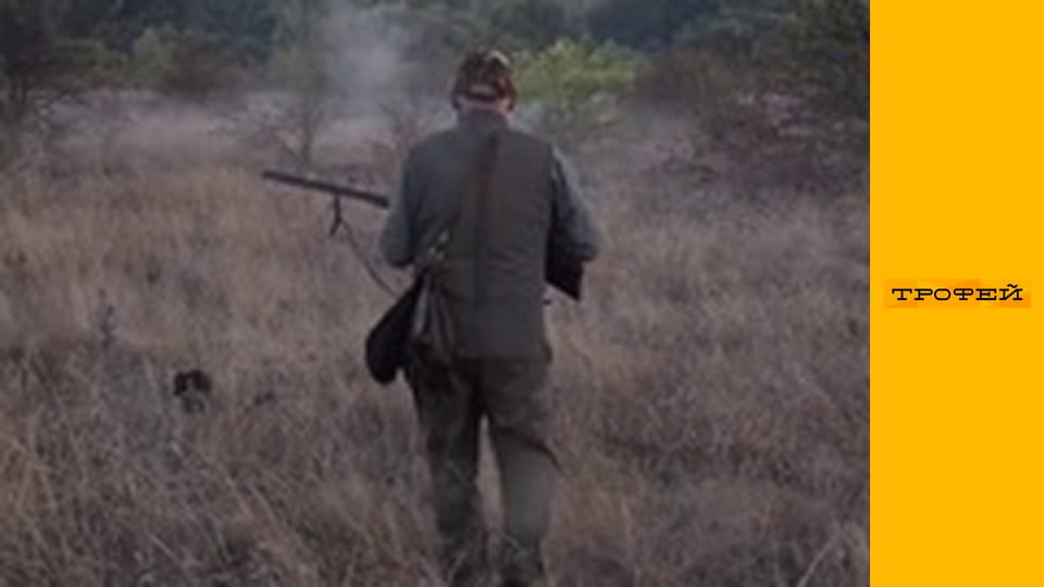 Шлях до трофею