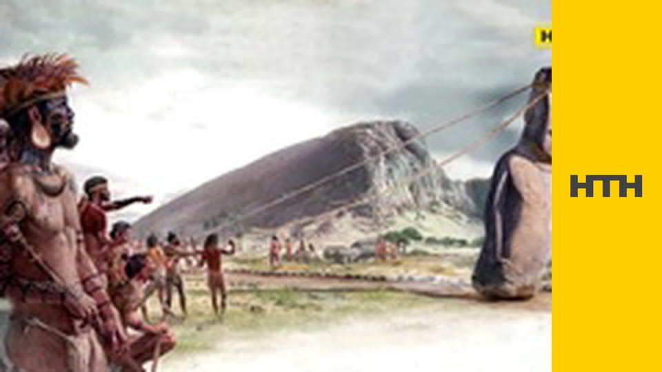 "Випадковий свідок".