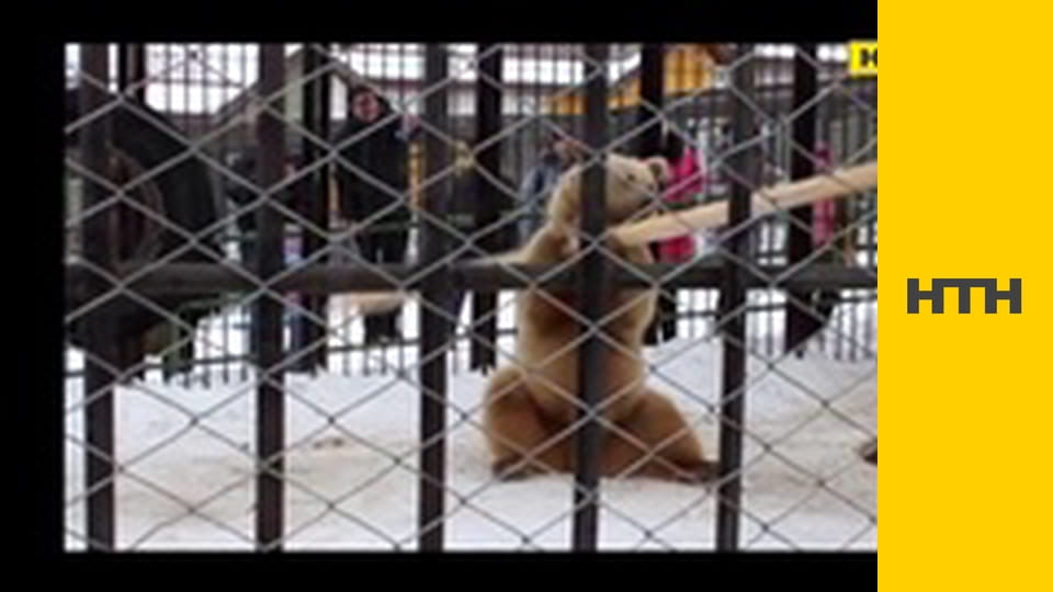 "Таємниці світу".