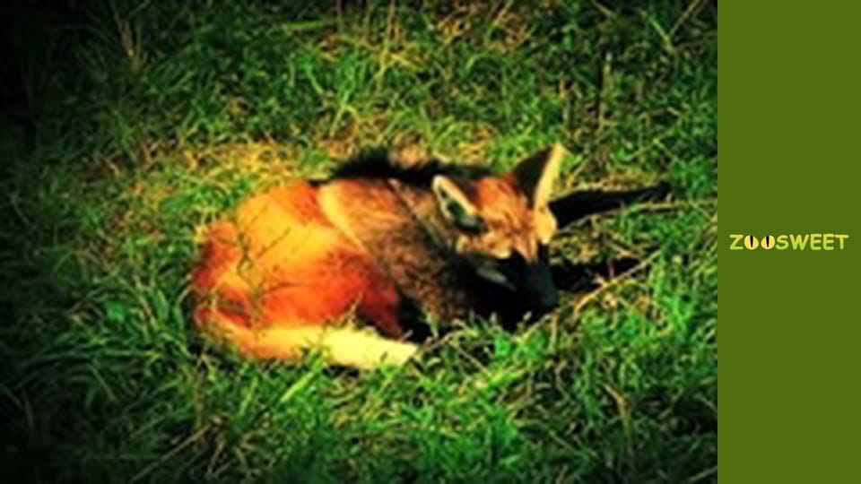 Wild life, Season 1, Episode 9