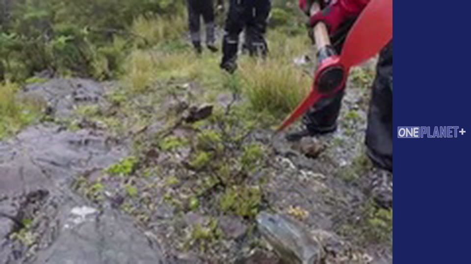 В поисках знаний. - cерия 26