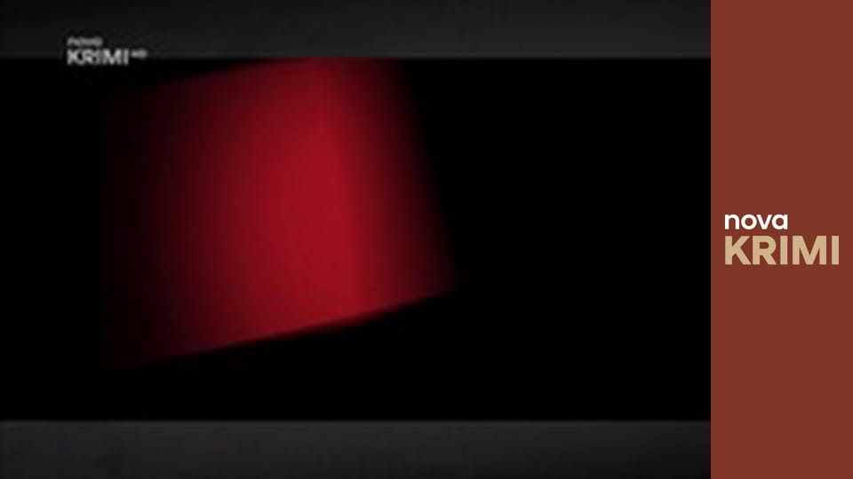 Myšlenky zločince S11E13