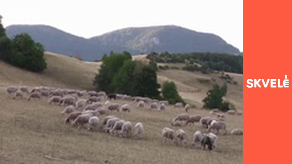 V Kuchyni - Tradičný slovenský salaš