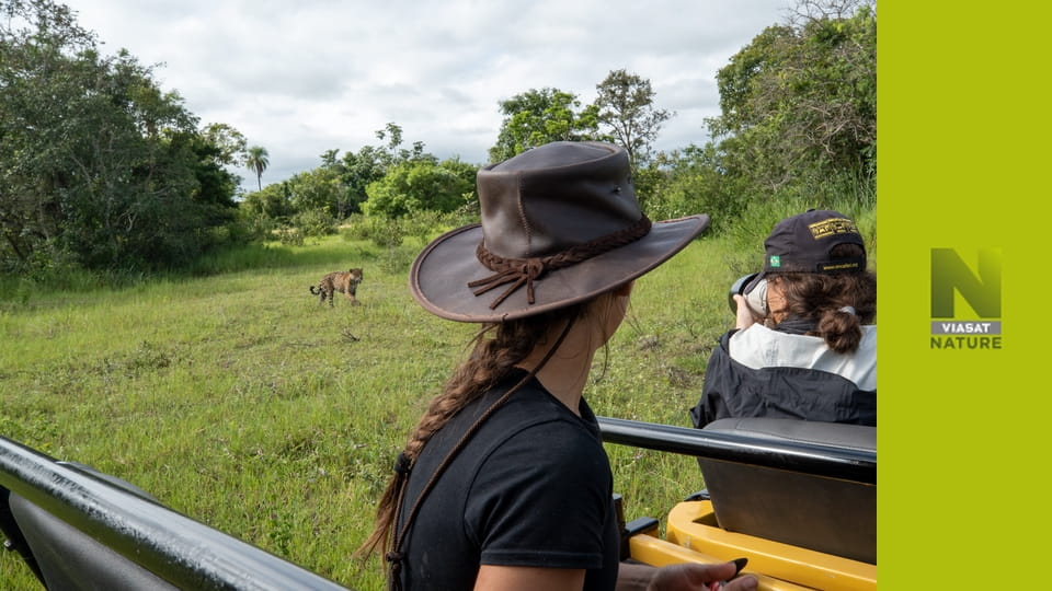 Журнали ягуара S1E2 - Мама
