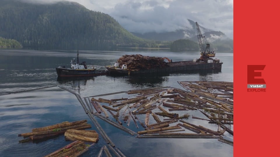 Титани деревини S1E6 - Злети й падіння