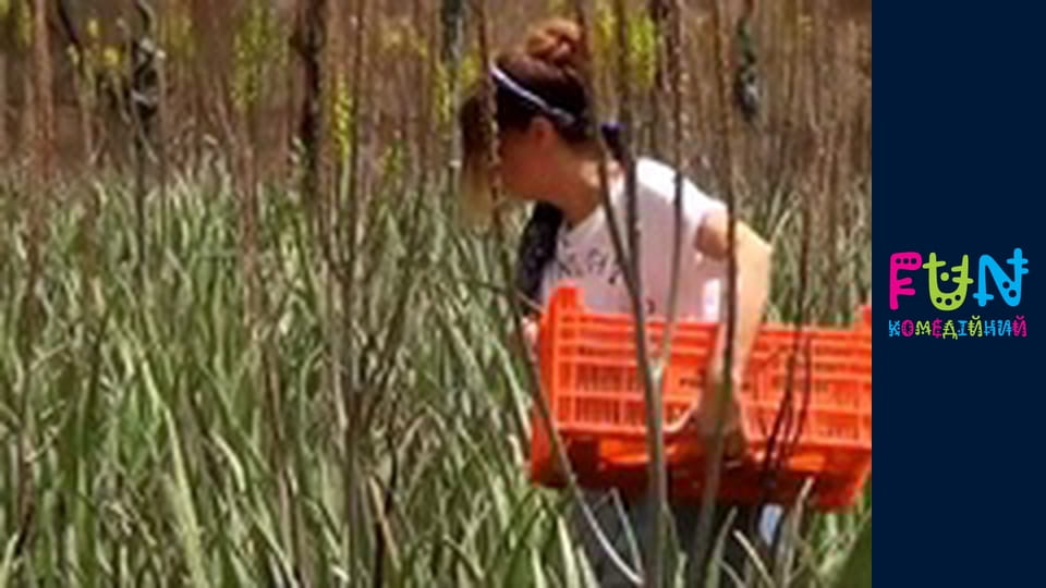 Заробітчани - Сезон 3 Випуск 28