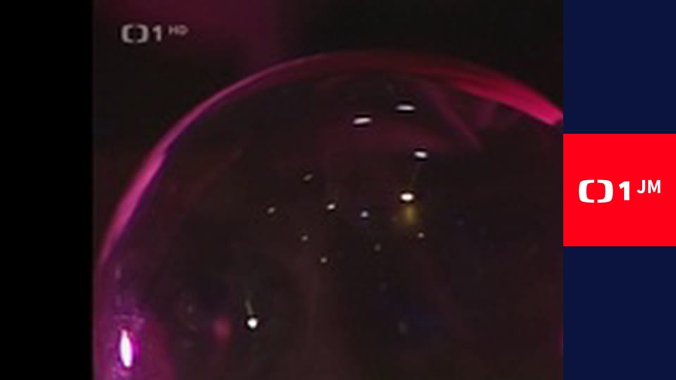 Co medvědi nevědí