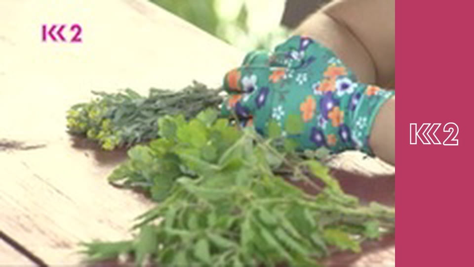 Шість соток S1E9