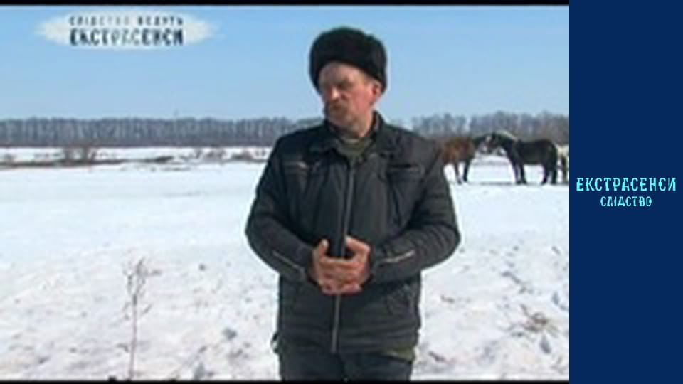 Соняшник. Частина 1