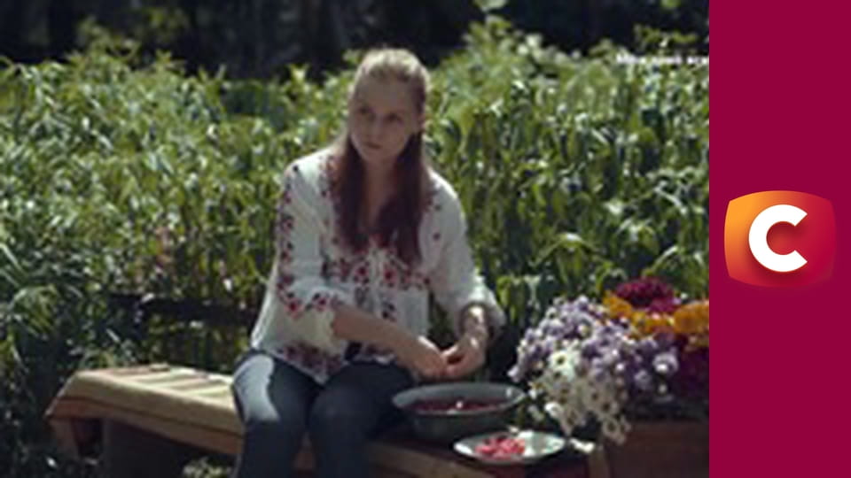 "Сліпа". Білка в колесі.