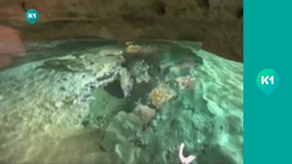 "Орёл и Решка. Дайджест".