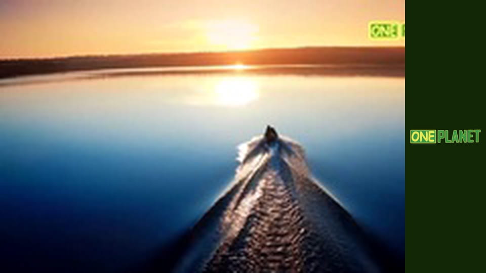 Чудеса природы, 4 эп.