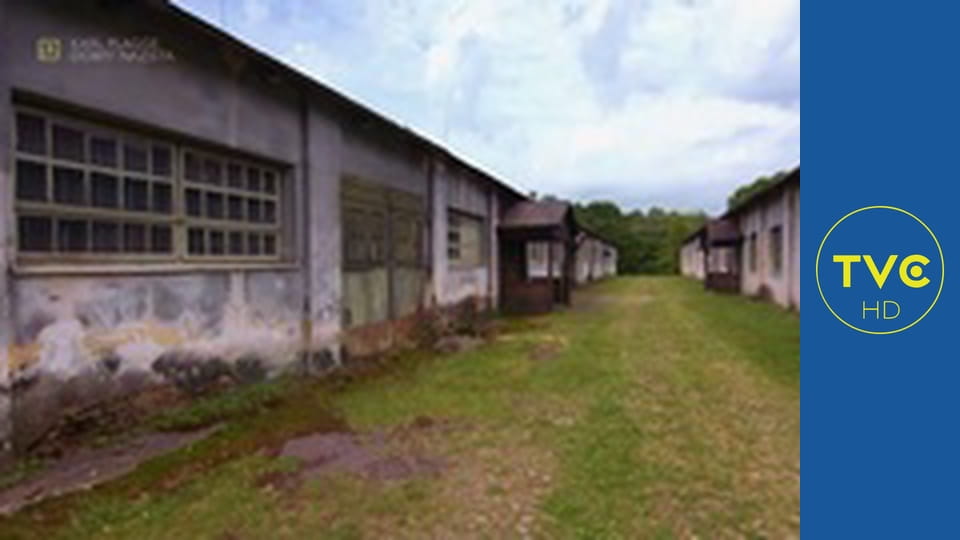 Karl Plagge: dobry nazista