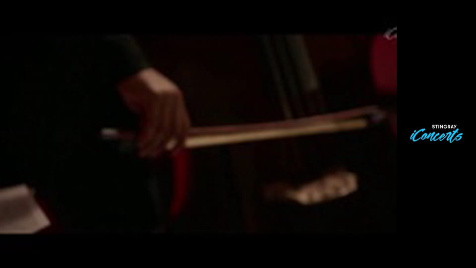 Various Artists - iConcerts Hits