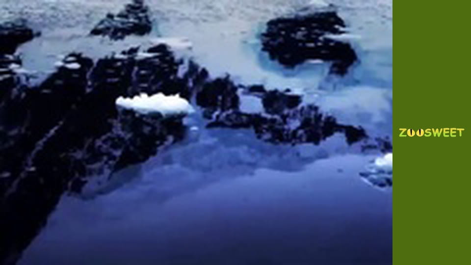 Wild life, Season 1, Episode 11