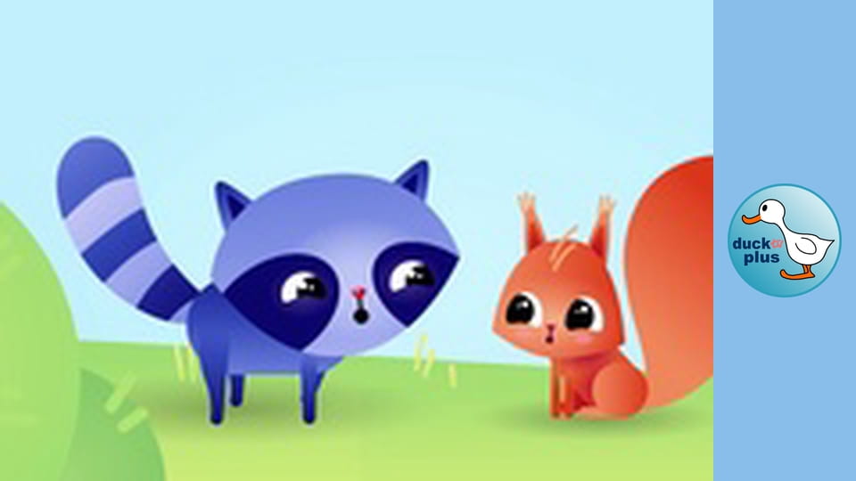 Home Sweet Home - Raccoon