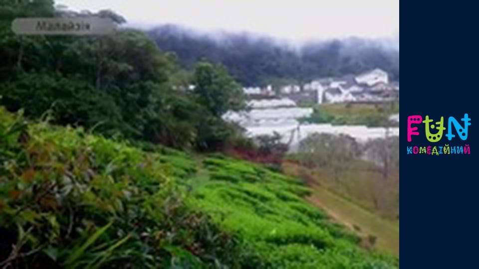 Заробітчани - Сезон 3 Випуск 11