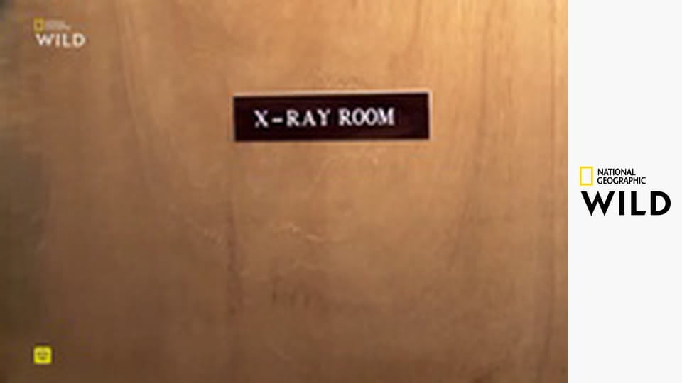 Skvělý dr. Pol - výběr S13E19 - Pol-olgie