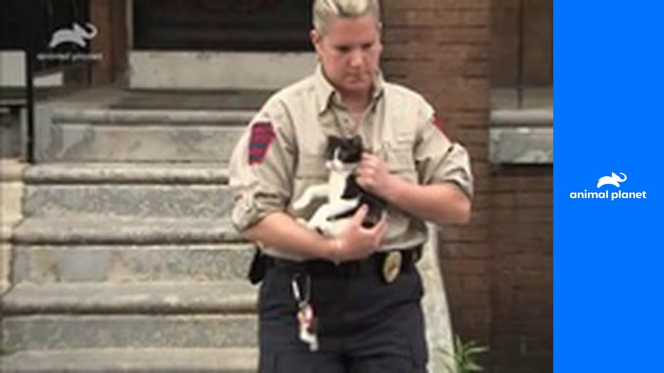 Veterinární policie: Filadelfie S12E7 - Pomocné ruce