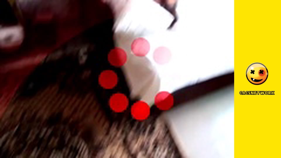 2Rude4UTube, 36 еп.