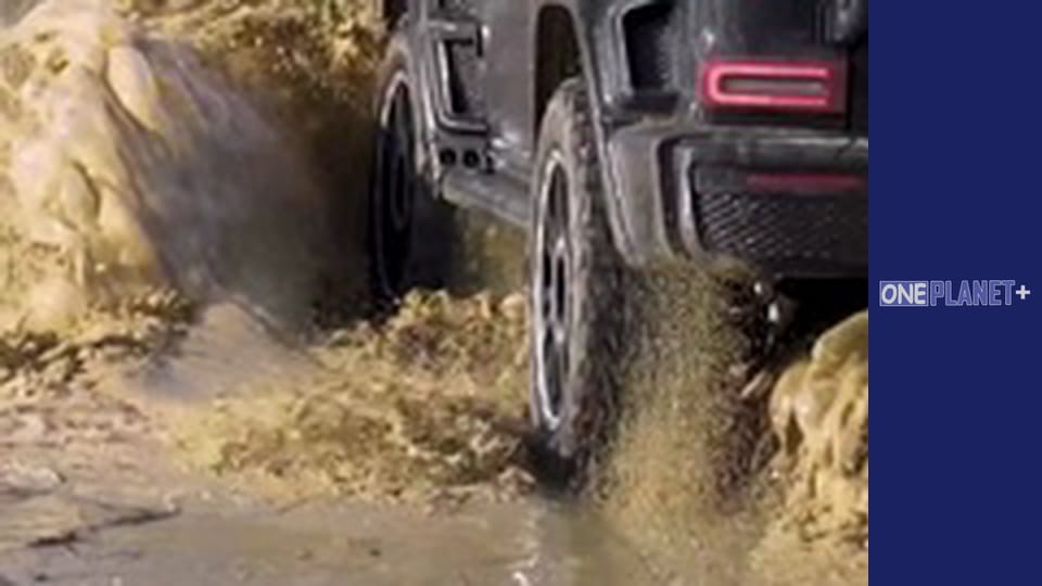 Удивительное рядом – серия 7