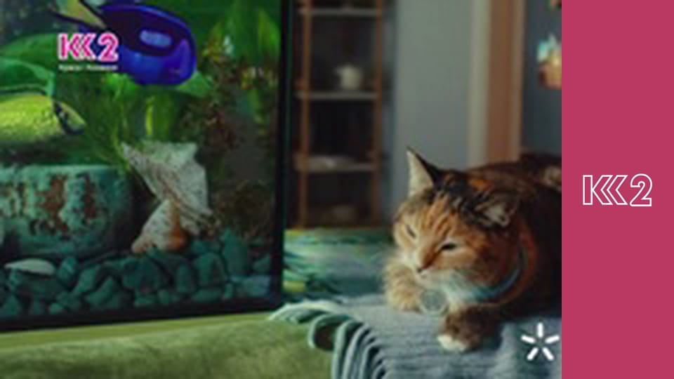 Сімейний суд E108 - Небажана невістка