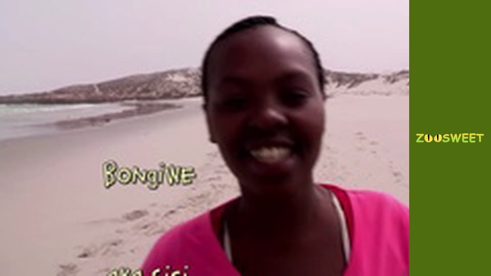 Сіяйа, Сезон 1, Випуск 12