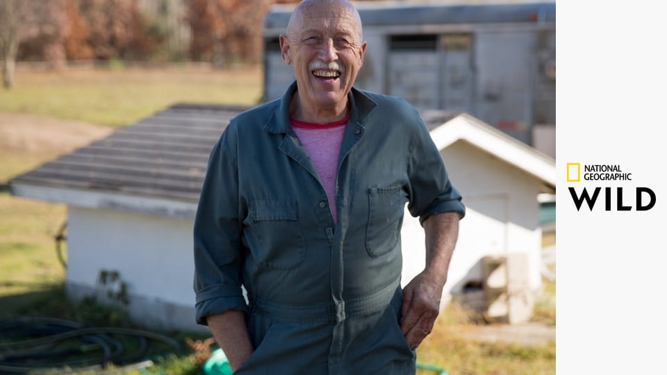 Невероятный доктор Пол, лучшие серии S13E18