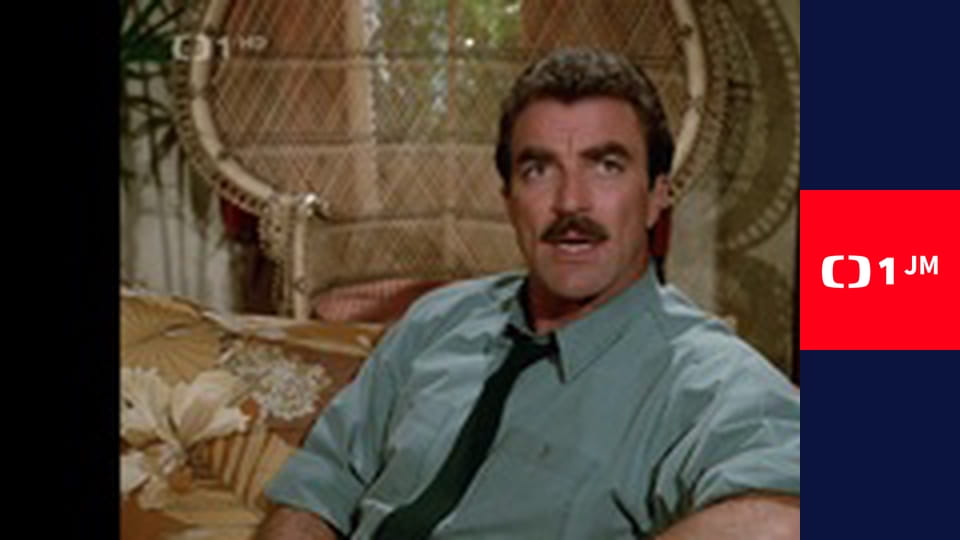 Magnum - Sólový let