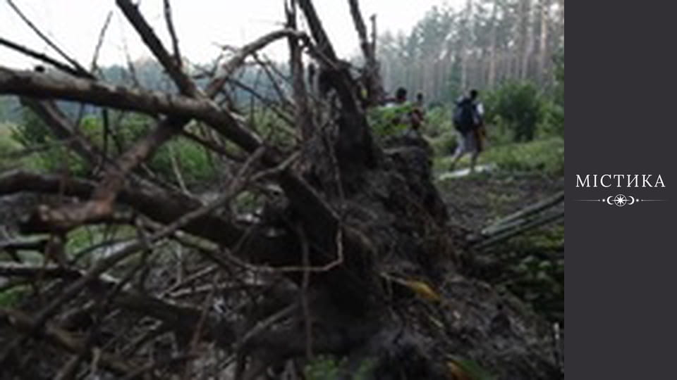 Дневники тёмного, Сезон 1, Выпуск 3