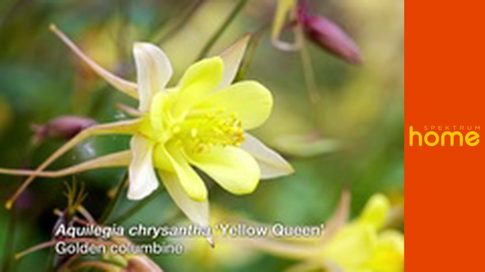 Zahradníkův svět S14E3