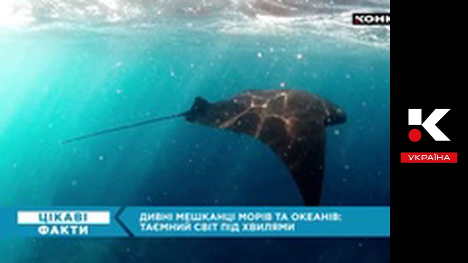 Цікаві факти.