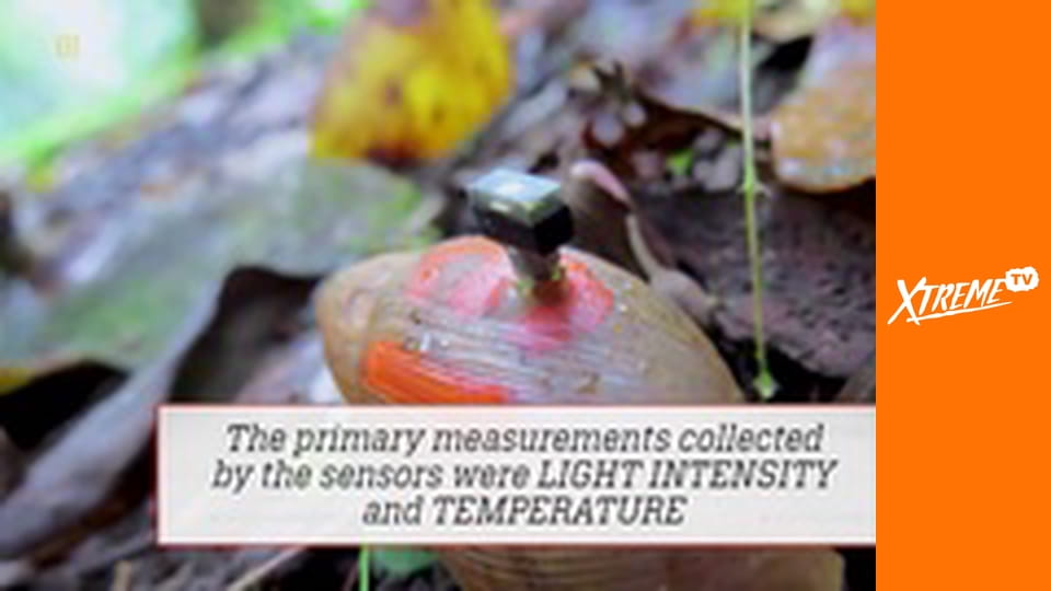 Niezwykłe pomysły E1