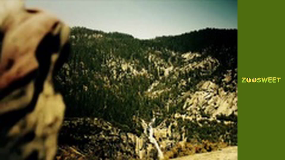 Дике життя, Сезон 1, Випуск 12