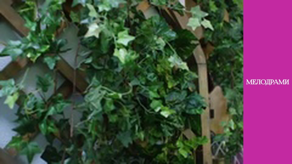 Т/с "Коли минуле попереду" - серія 10